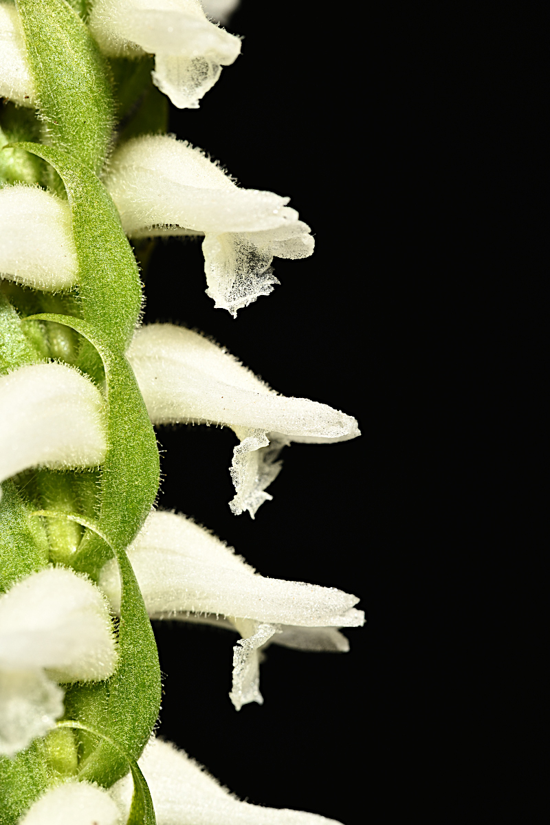 D85_3373_005s.jpg