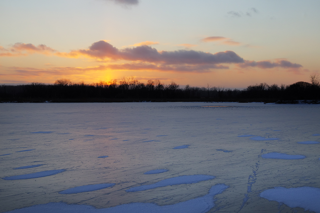 Freezing Pickerel