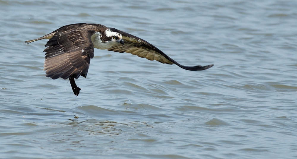 D51_8111.jpg