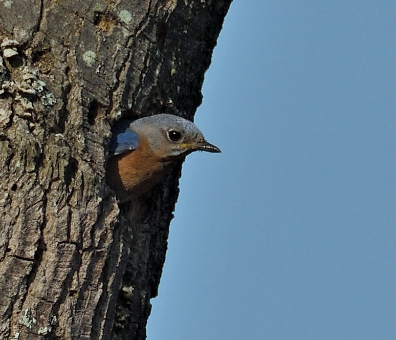 D52_2050.jpg