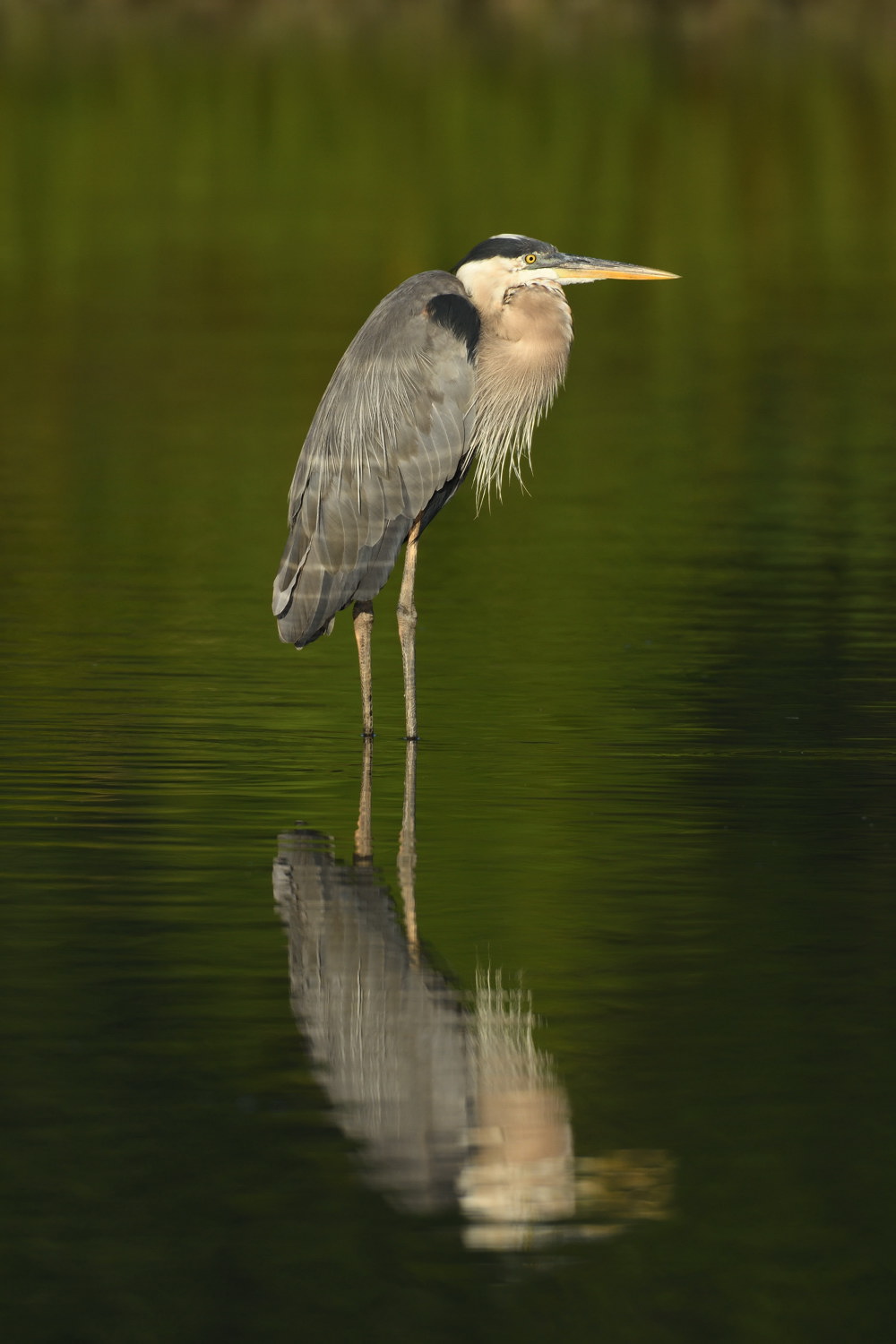 D52_2624.jpg