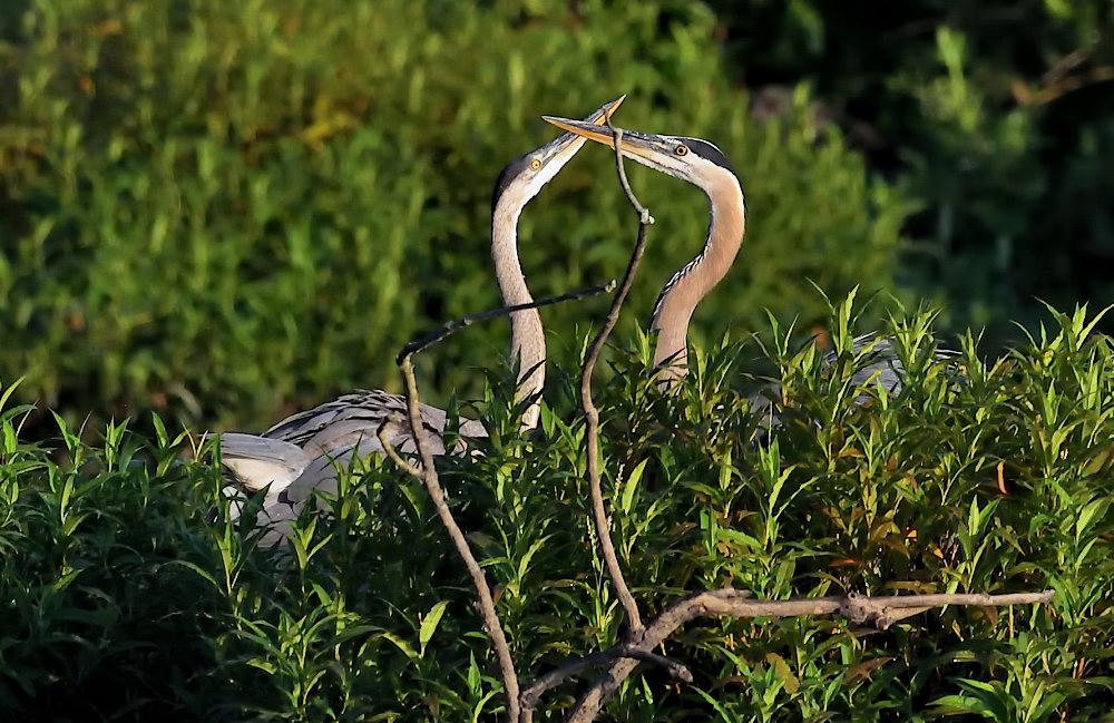 D54_6504.jpg