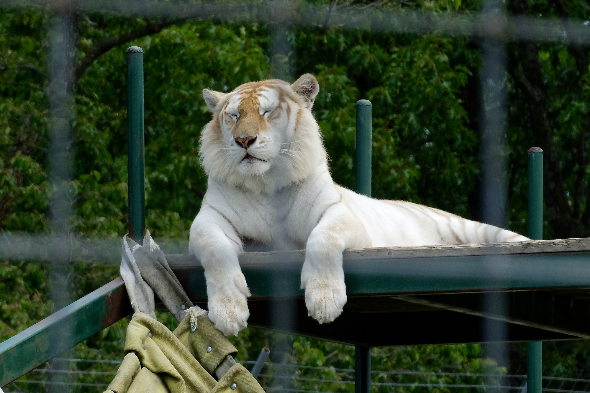 DSC00310_DxO.jpg