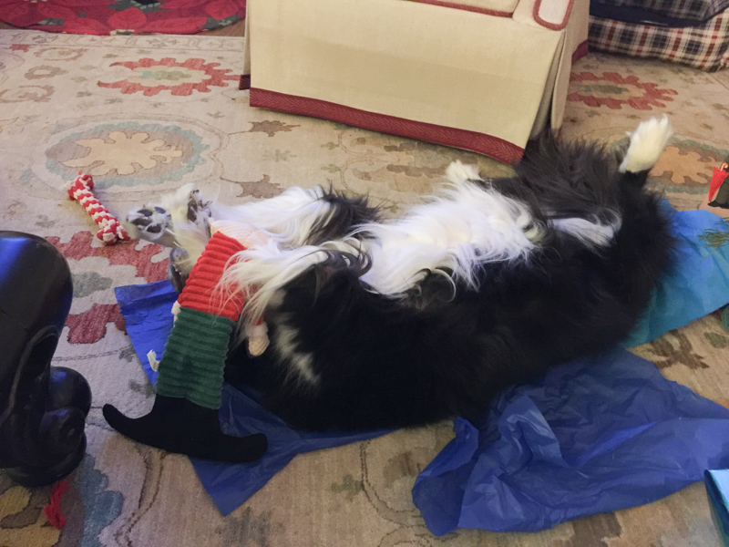 2016-12-23 18.56.37.jpg