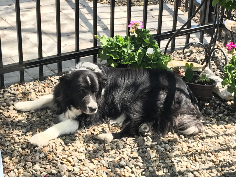 2018-05-08 14.39.13 HDR.jpg