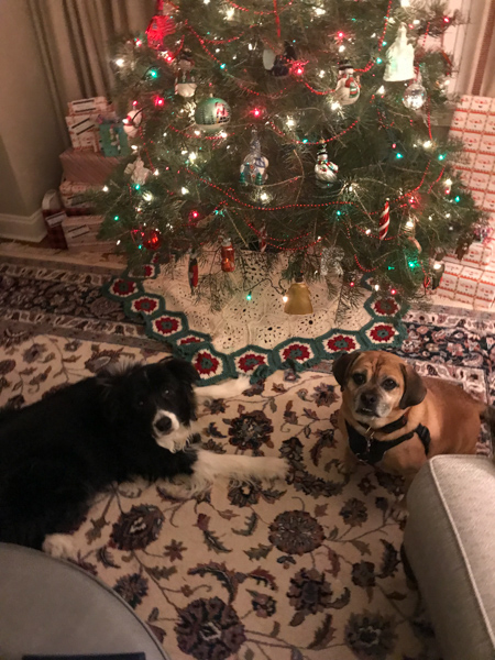 2018-12-12 06.23.56.jpg