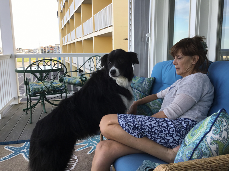 2019-06-15 18.23.08.jpg