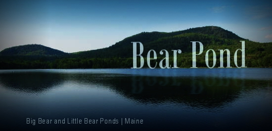 Bear Pond