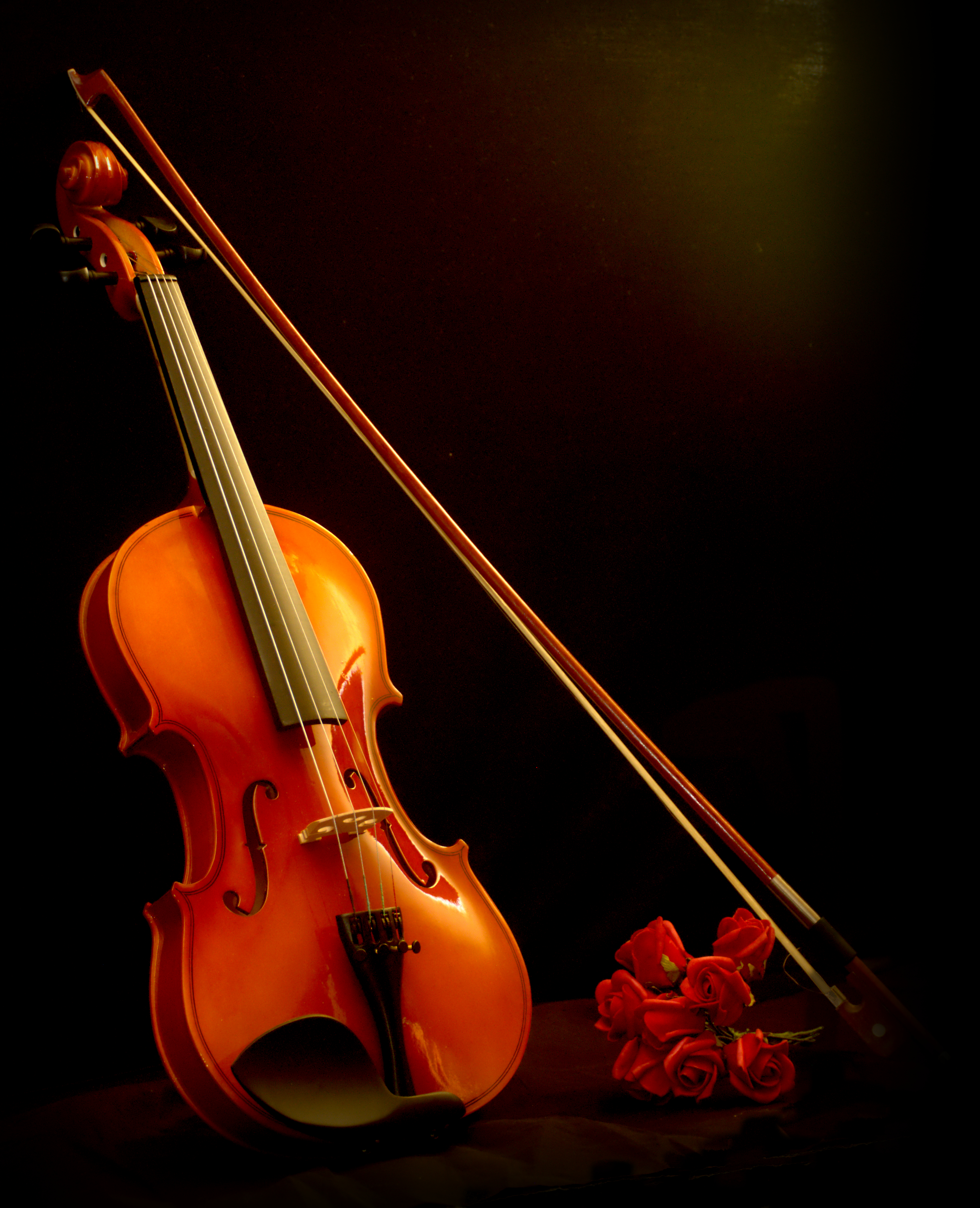 violin.and_roses.