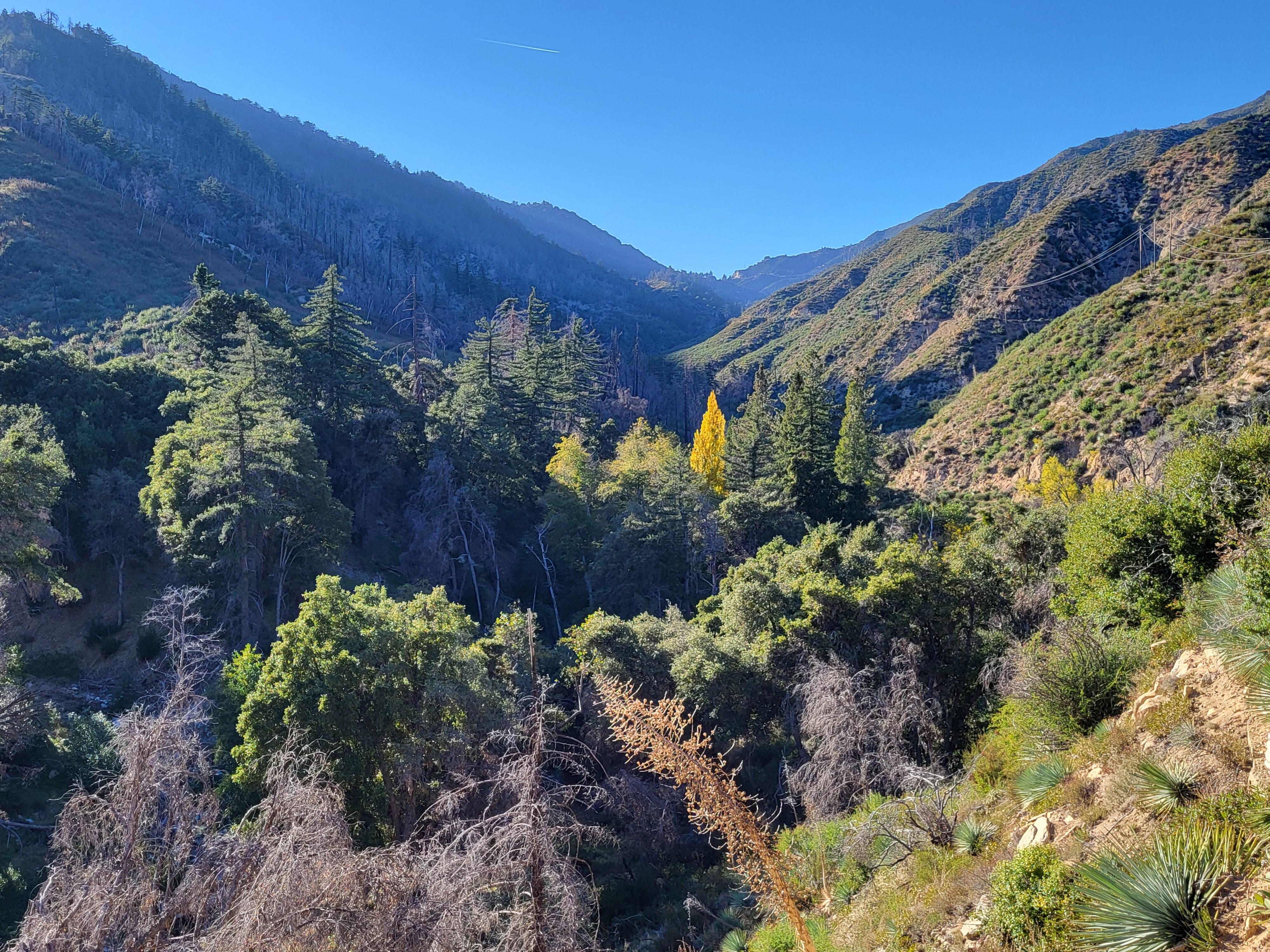 West Fork view to Red Box Gap