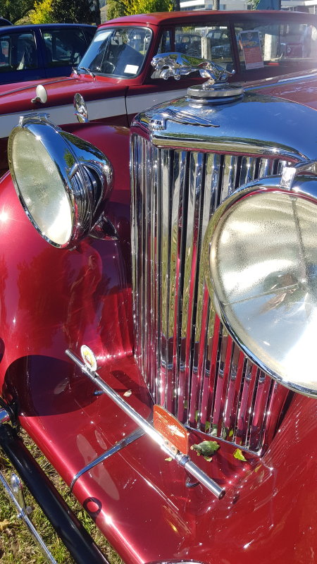Vehicles on show 29.jpg