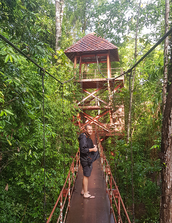 Canopy walk at Botanical Garden, Trang