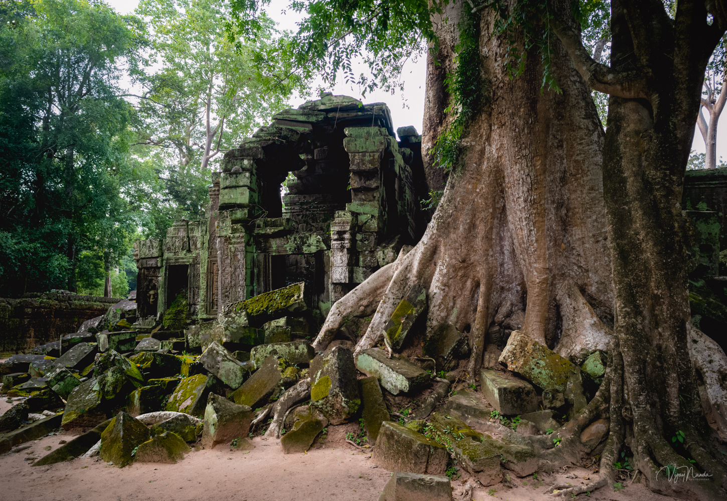 Ta Prohm Temple 