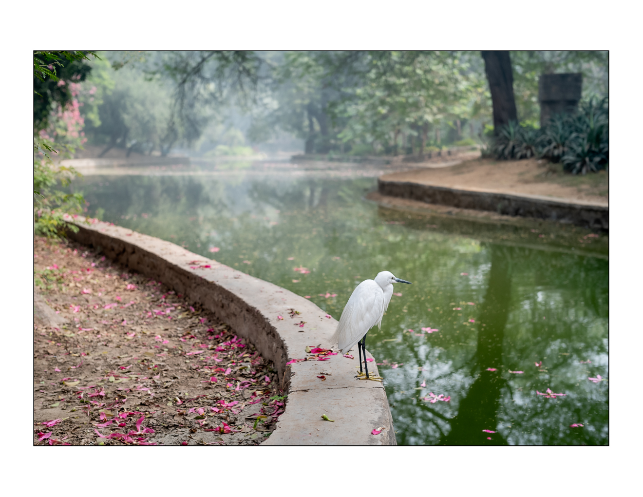 Lodhi Gardens, New  Delhi