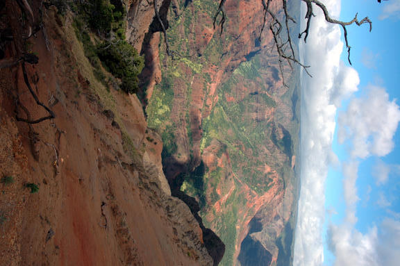 Waimea Canyon