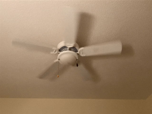 Ipad Live Photo Looped Gif