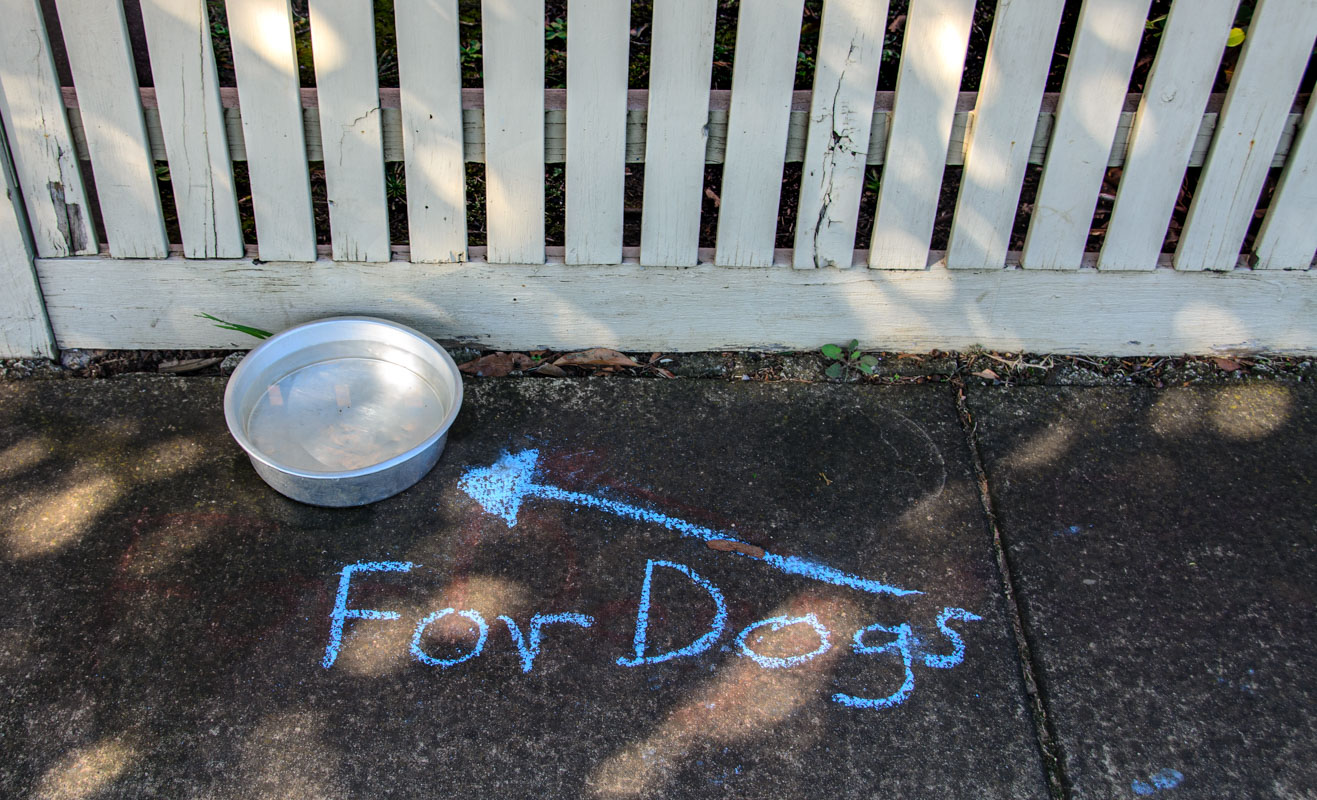 _DSC7345.jpg