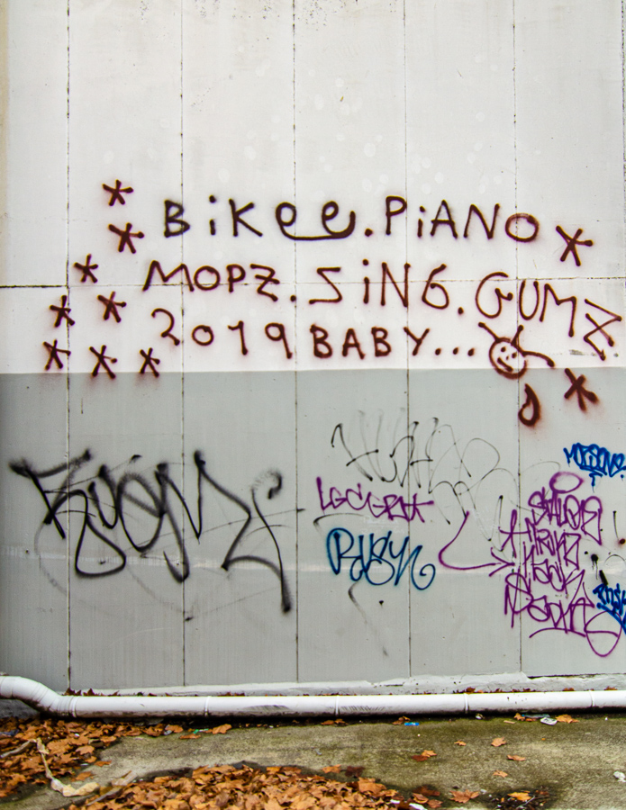 _DSC7754.JPG