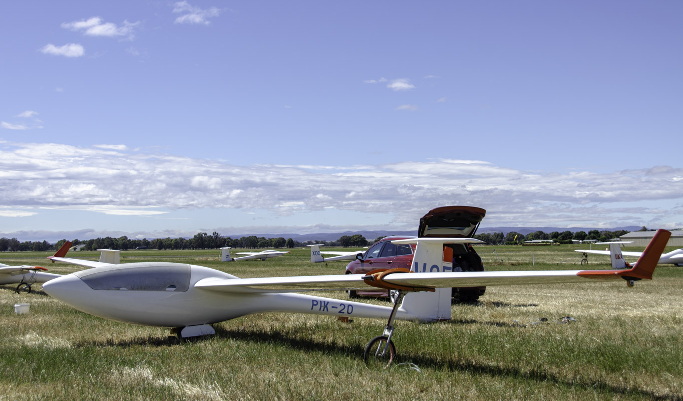 _DSC9878.JPG