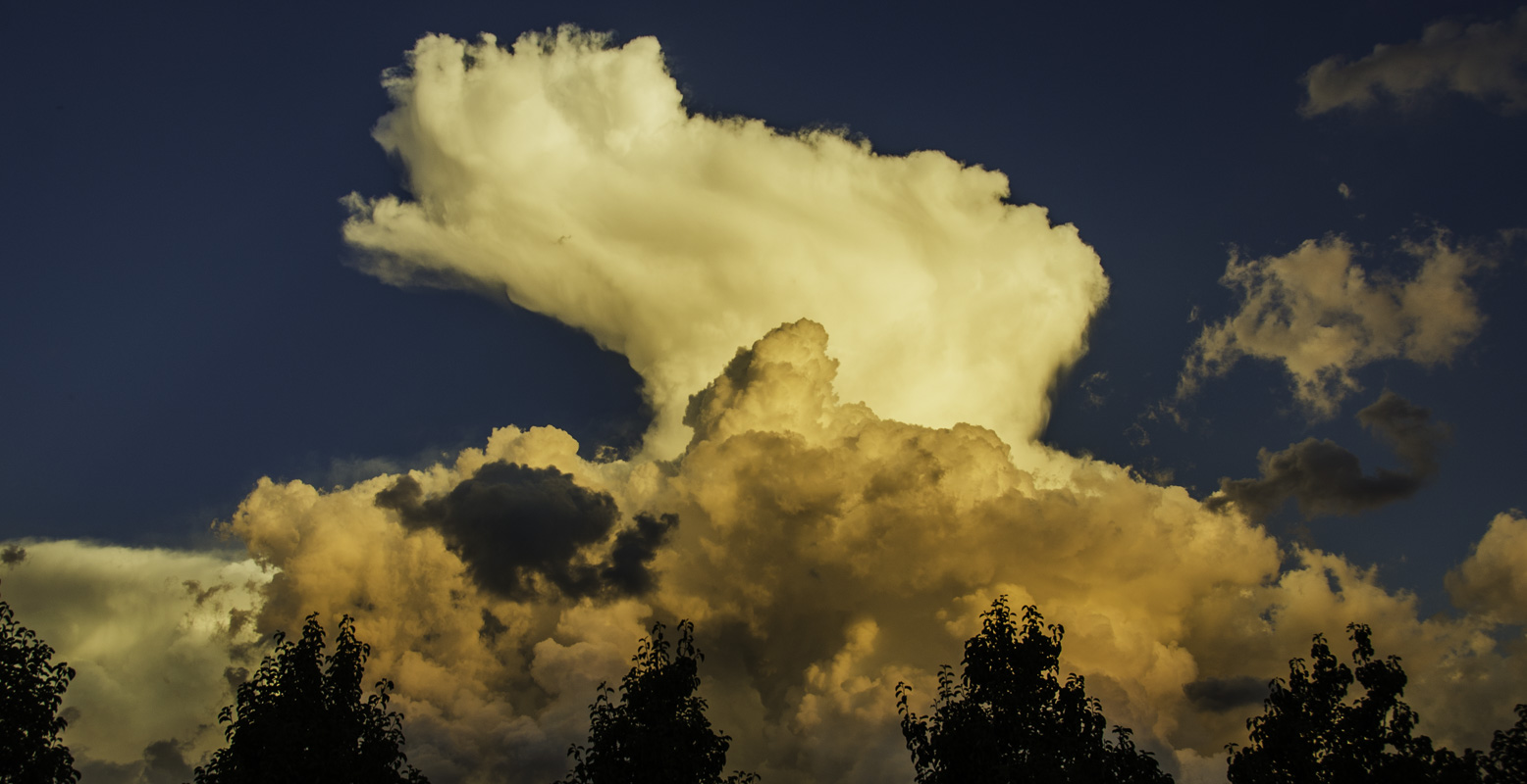 _DSC9979.JPG