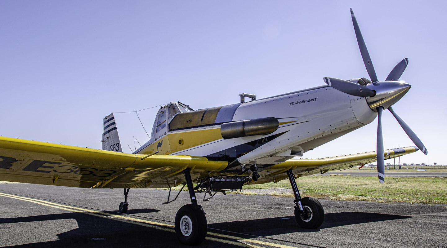 _DSC0018.JPG