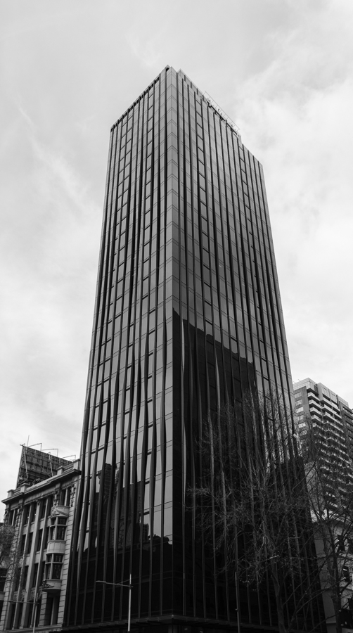 _DSC0985.JPG