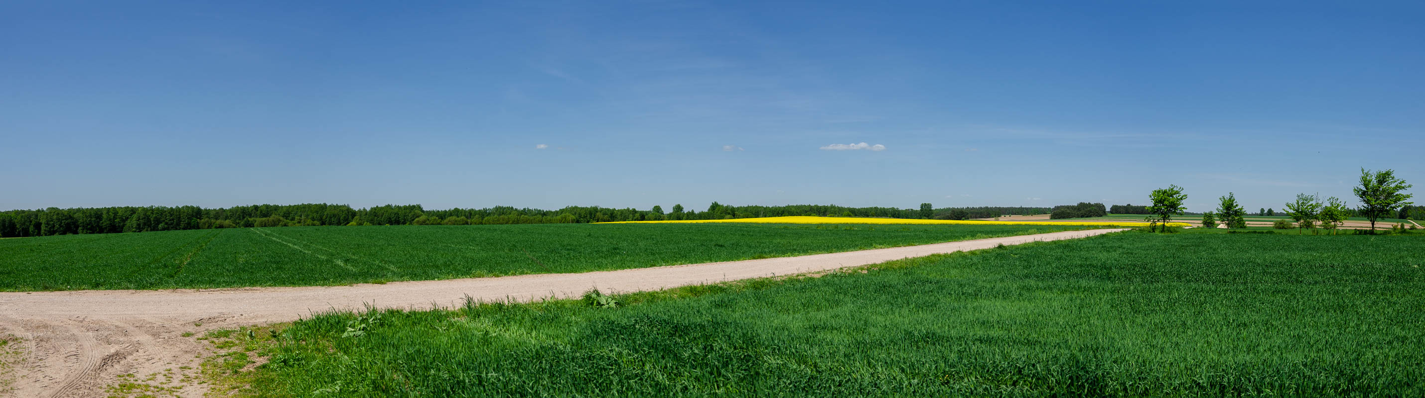 _DSC3271-Pano.jpg