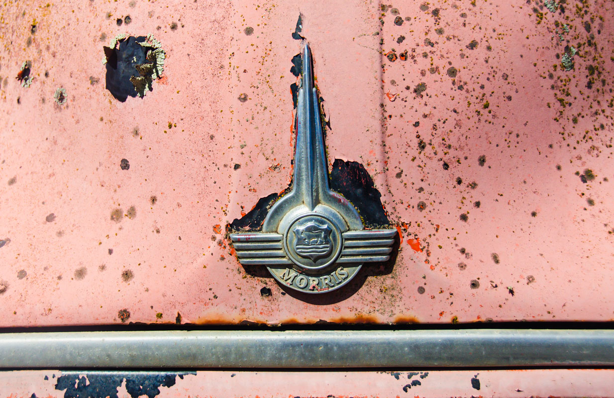 _DSC5978.JPG