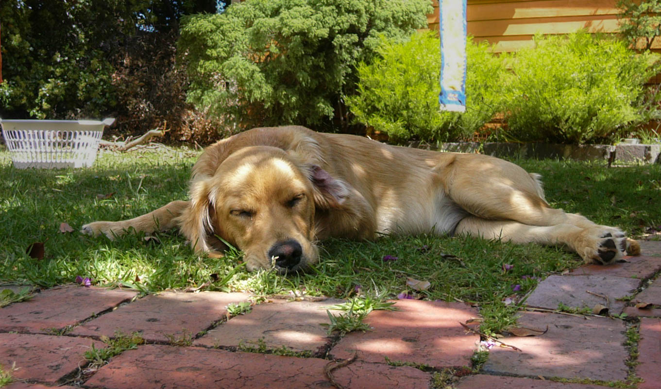 P1030224.JPG