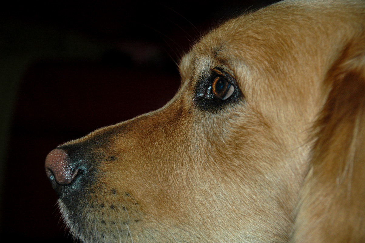 DSC_0029.JPG