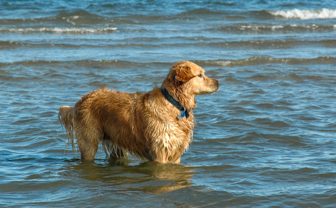 DSC_0095.JPG