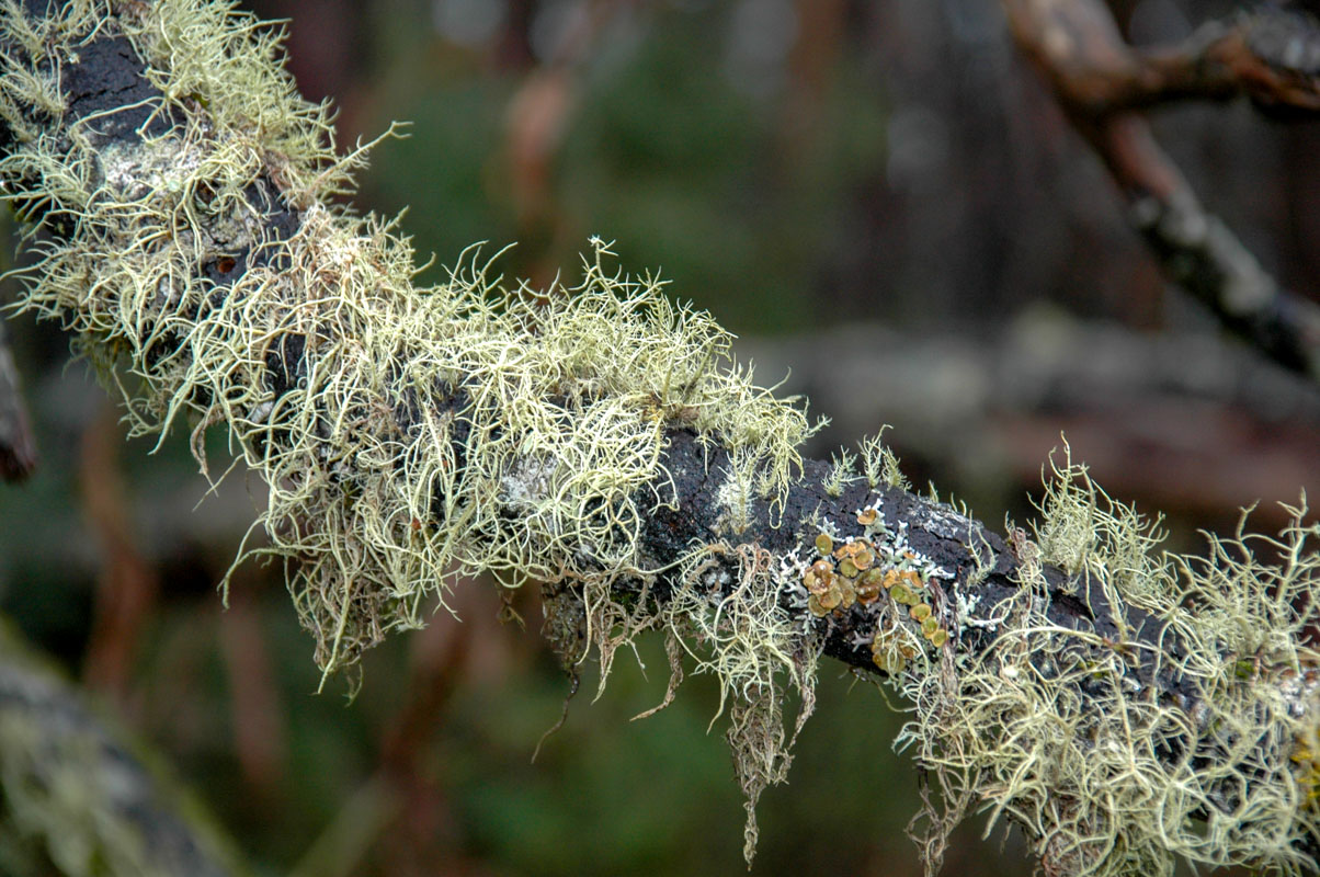 DSC_0597.JPG