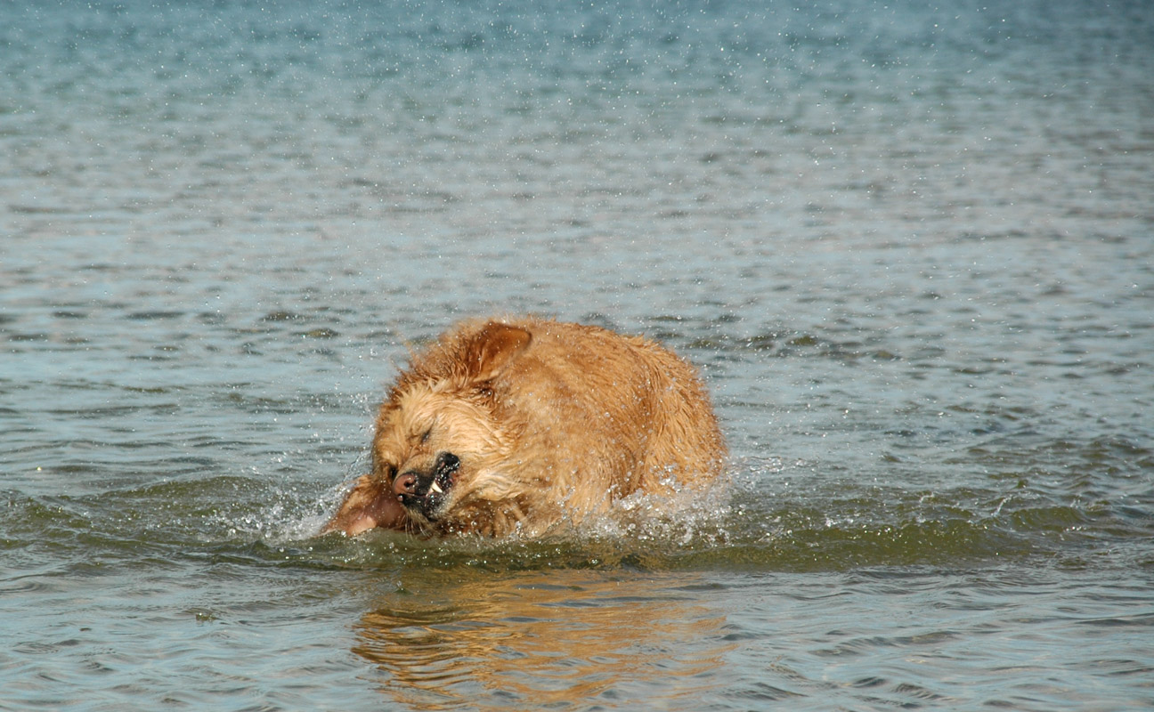 DSC_0777.JPG