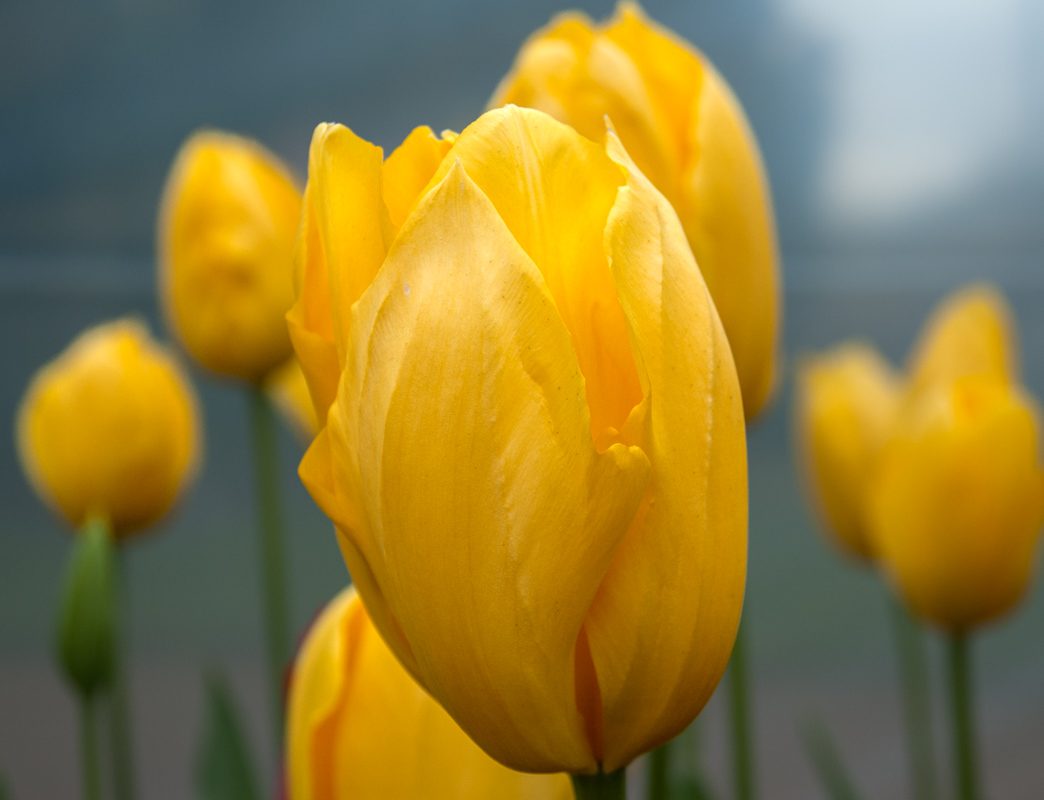 DSC_1476.JPG