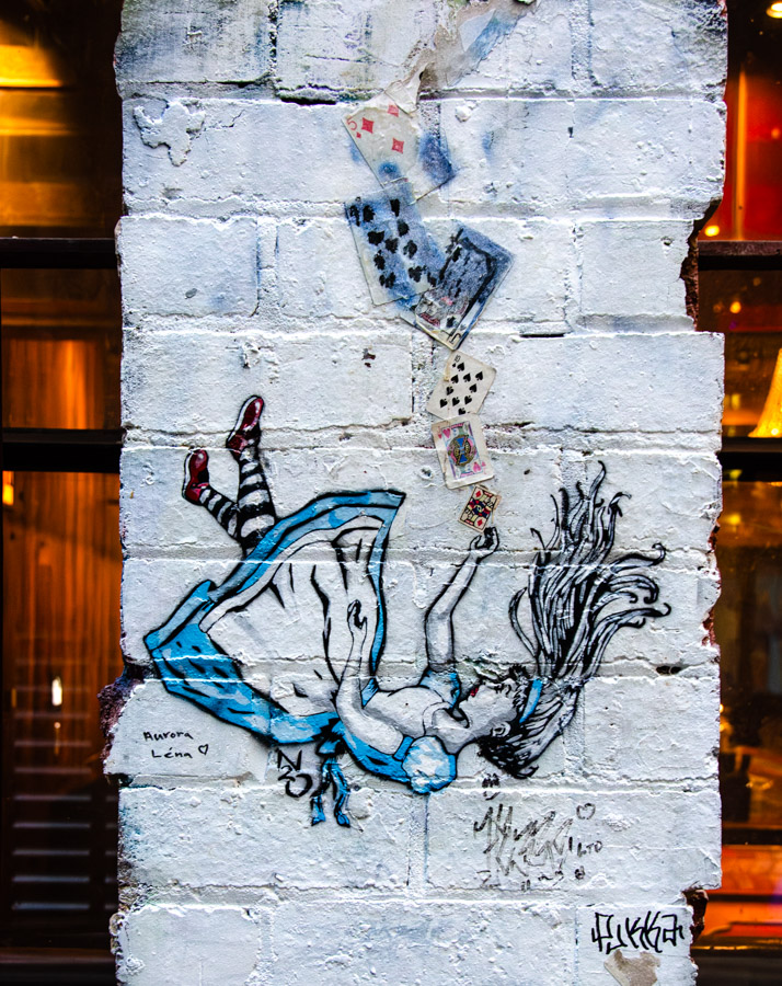 DSC_6473.jpg