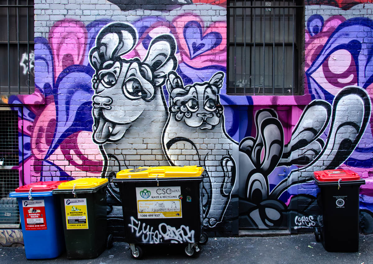 DSC_6479.jpg