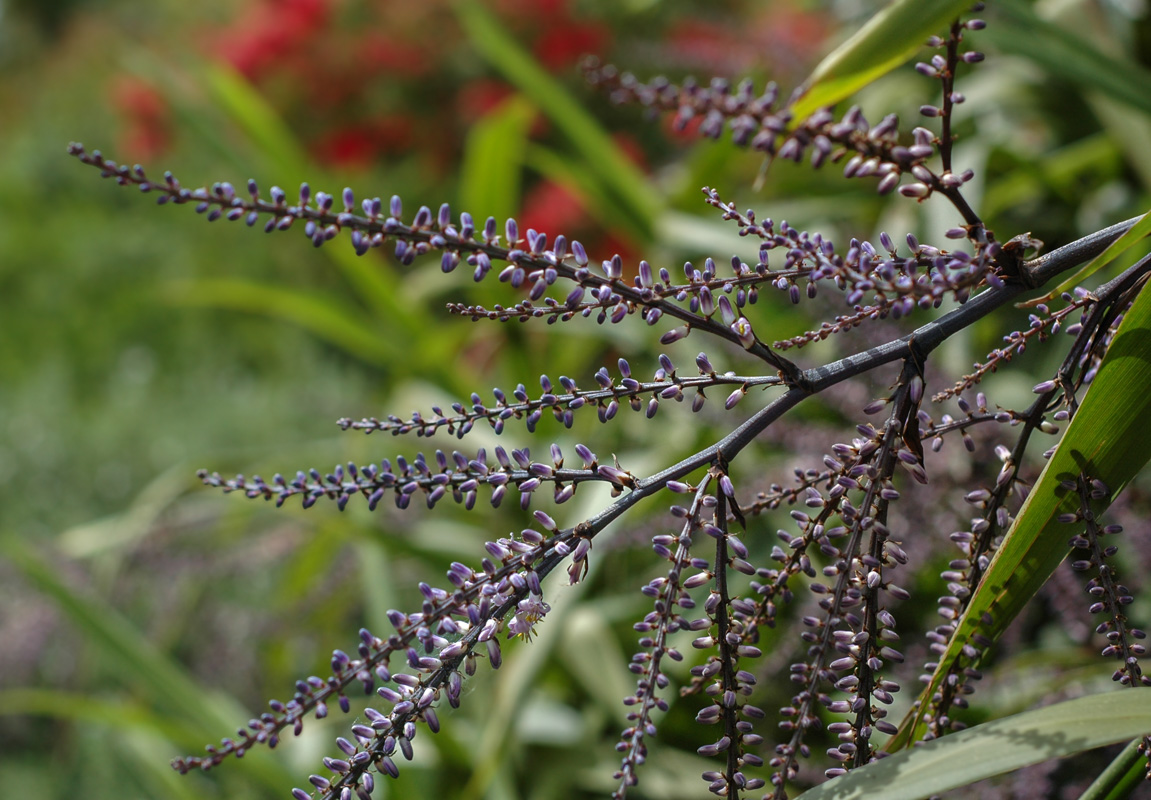 DSC_2820.jpg