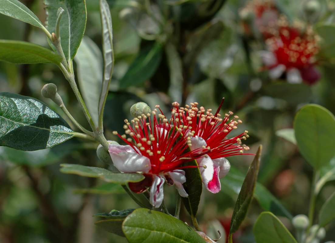 DSC_2826.jpg