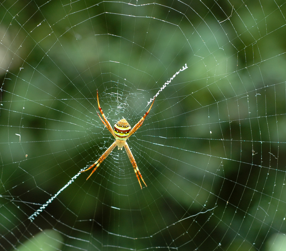 DSC_4298.jpg