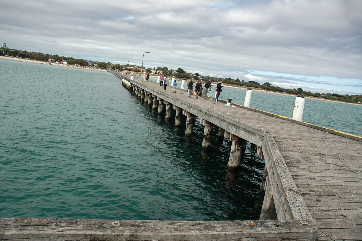 DSC_5831.jpg
