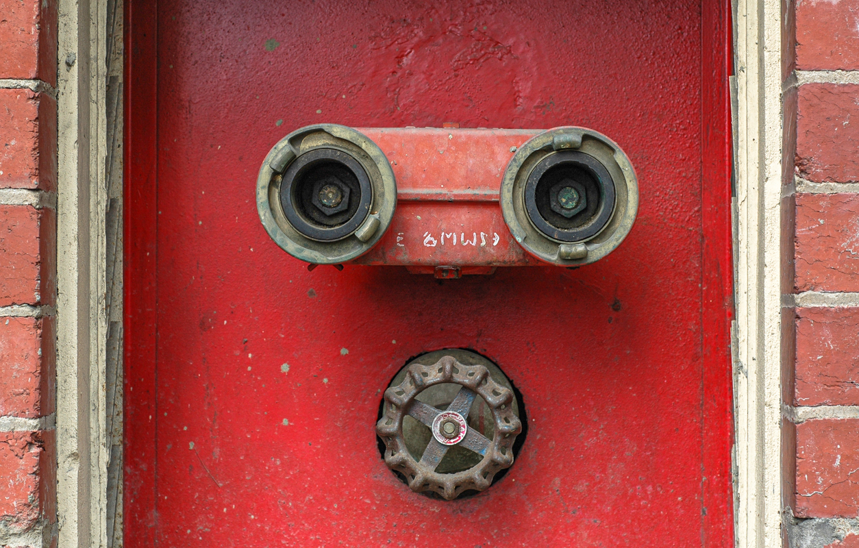 DSC_6637.jpg