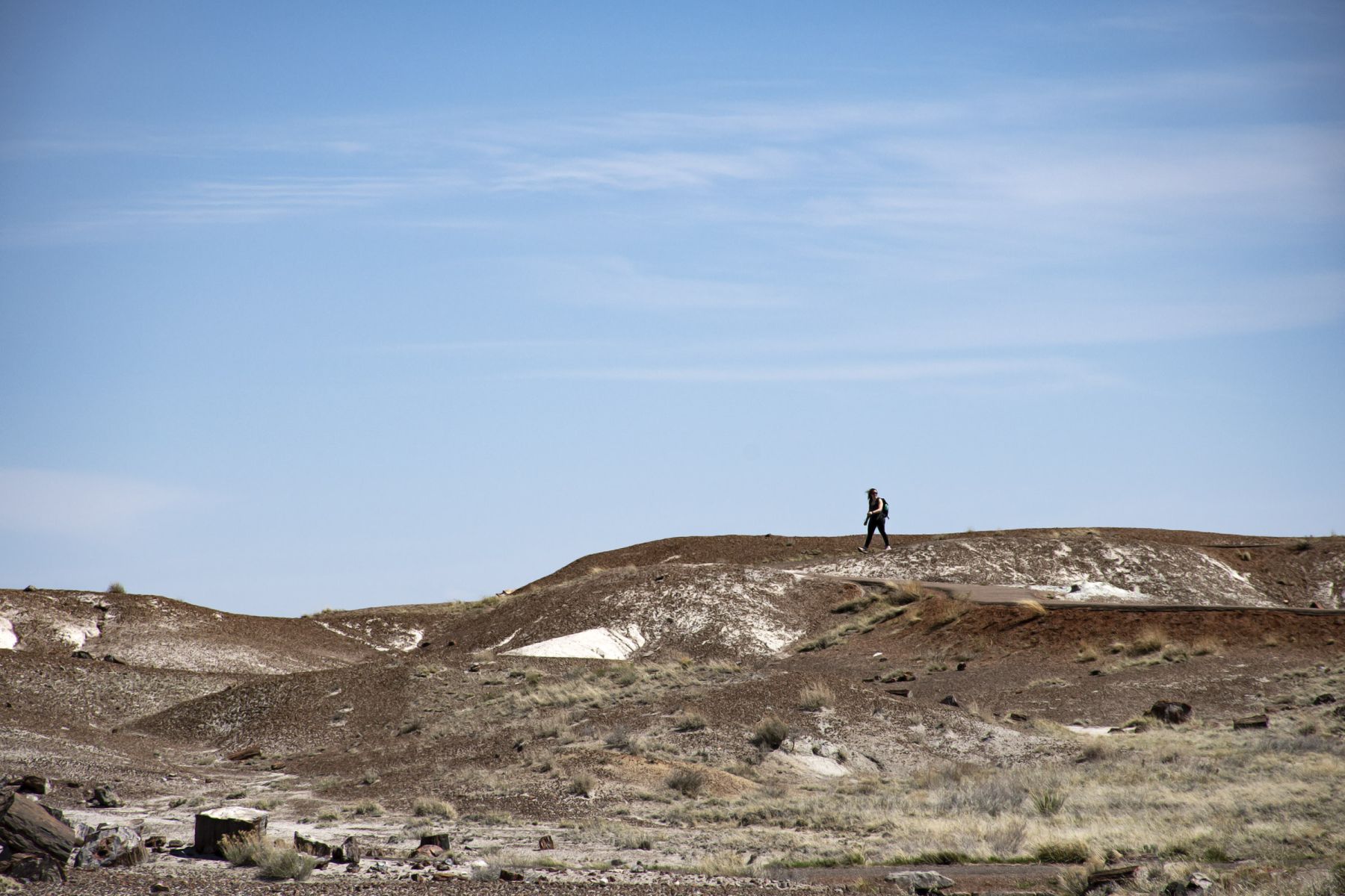 WHF_0147.jpg