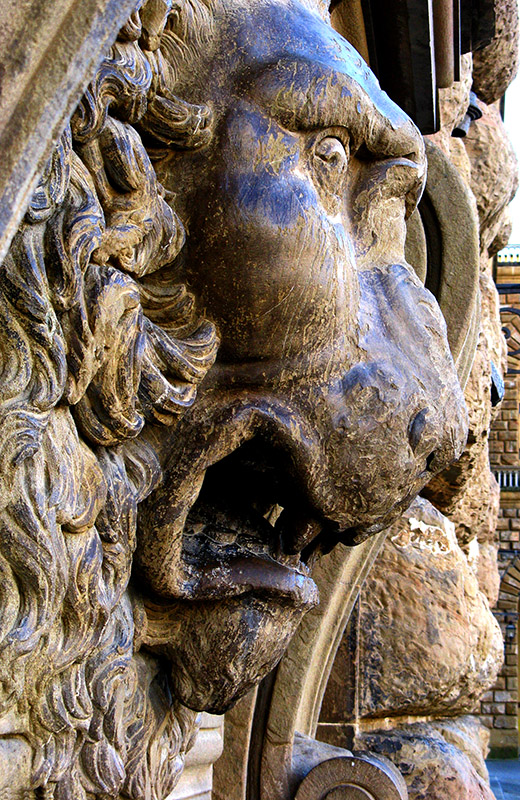 Lion at the Pitti Palace9492