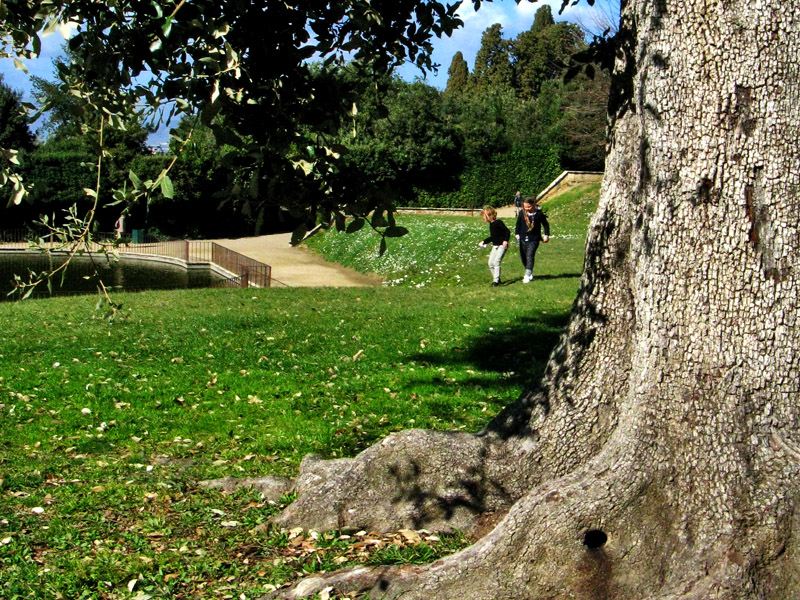 Boboli Gardens9546