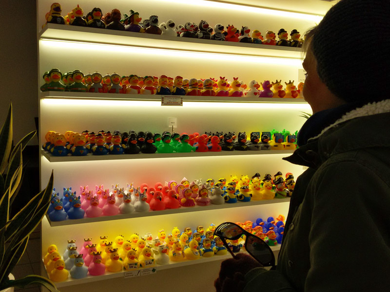 The San Marino Duck Store20190223_134710
