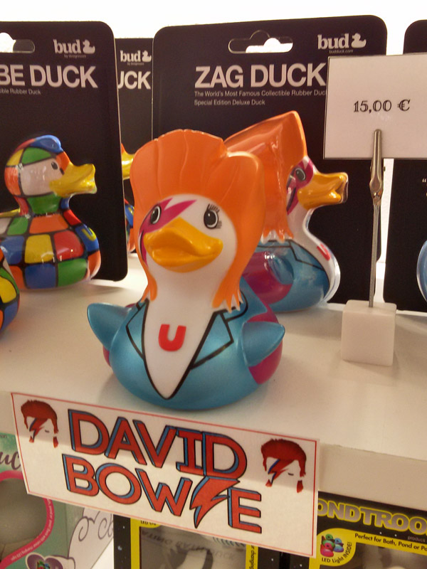 Celebrity Ducks20190223_134646