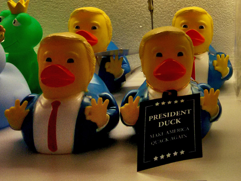Make America Quack Again20190223_134618