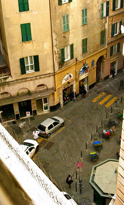 View from a Roof Garden2099
