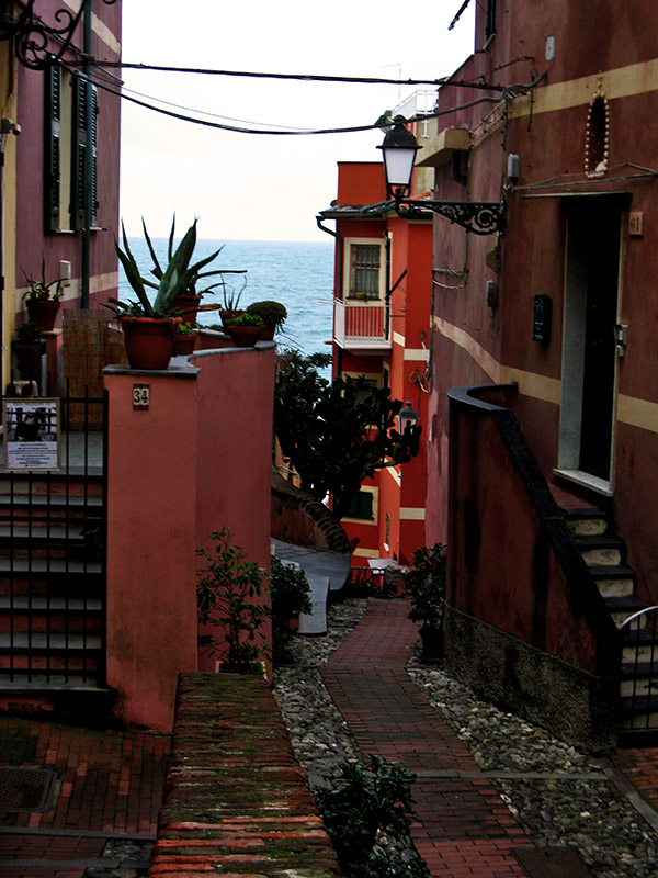 Warm color2376