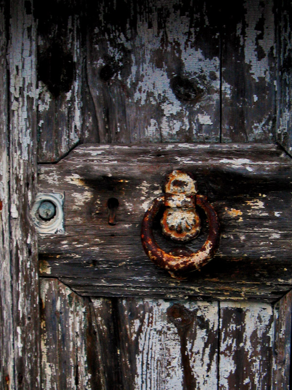 Old Wood2391